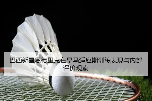 img_1781300063657_2366_1_808.jpg